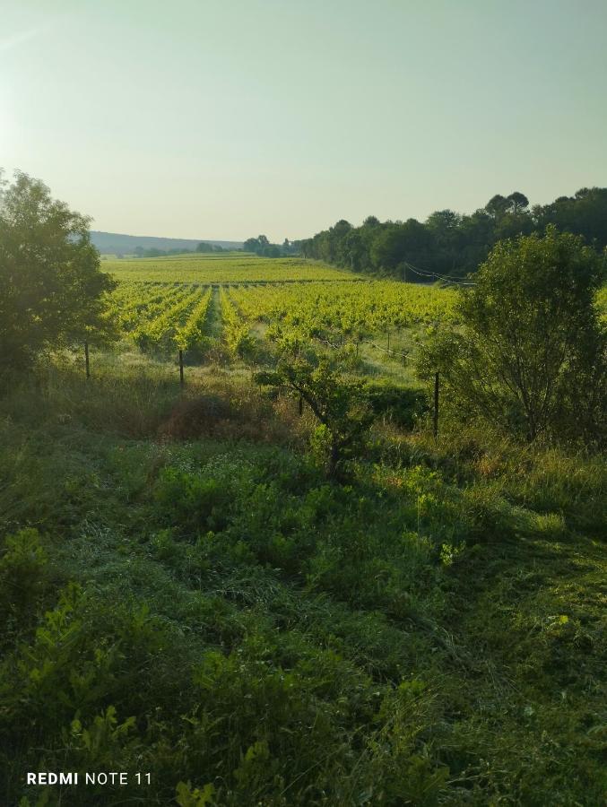 Chambre D Hotes En Provence, Au Pied Du Luberon, Les Coquelicots La Tour-dʼAigues Eksteriør billede