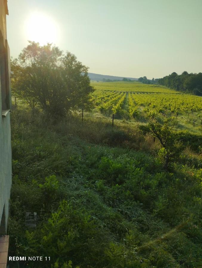 Chambre D Hotes En Provence, Au Pied Du Luberon, Les Coquelicots La Tour-dʼAigues Eksteriør billede